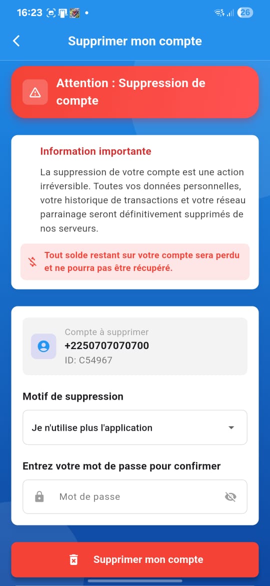 Capture d'écran Reffy 3